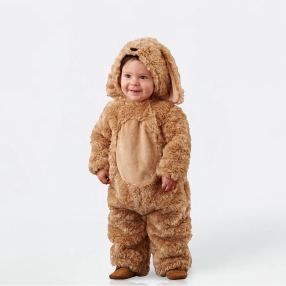 Pottery Barn Kids Dog Costume 12-24 months